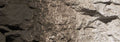 WDS 1221 Raw Umber (4 Ounces)