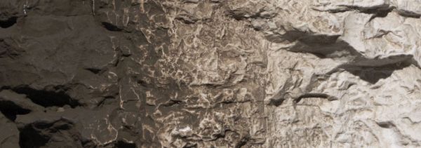 WDS 1221 Raw Umber (4 Ounces)