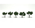 WDS 1502 Trees Medium Green