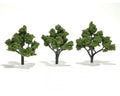 WDS 1509 Trees Light Green