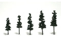 WDS 1560 Trees Conifer Green