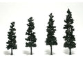 WDS 1561 4" to 6" Conifer Green Trees