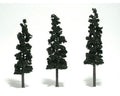 WDS 1562 Trees Conifer Green