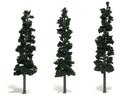 WDS 1563 Trees Conifer Green