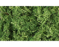 WDS 163 Lichen/Medium Green (1.5 Quart)