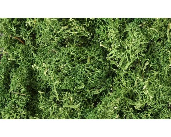 WDS 163 Lichen/Medium Green (1.5 Quart)