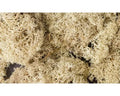 WDS 166 Lichen/Natural (1.5 Quart)