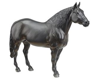 Bry 1758 Cherry Creek Fonzie Merit Canadian Horse