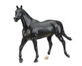 BRY 1759 Cortes C Show Jumper