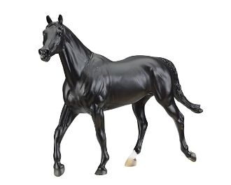 BRY 1759 Cortes C Show Jumper