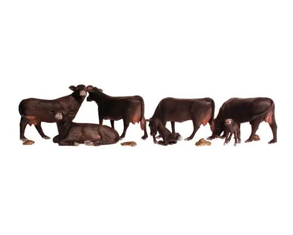 WDS 1955 Black Angus Cows (HO Scale)