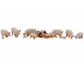 WDS 1957 Yorkshire Pigs (HO Scale)