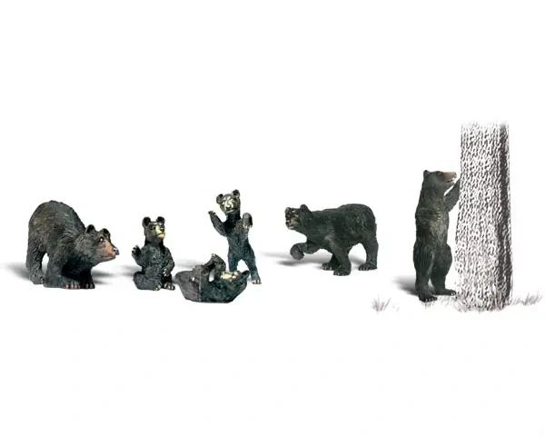 WDS 2737 Black Bears O Scale
