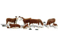 WDS 2767 Hereford Cows O Scale