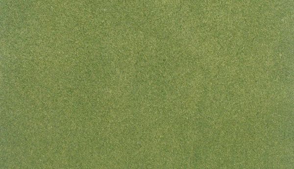 WDS 5121 Large Grass Mat Spring 50" x 100"