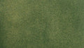 WDS 5122 Large Grass Mat Green 50" x 100"