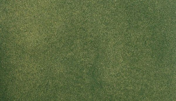 WDS 5122 Large Grass Mat Green 50" x 100"