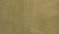 WDS 5124 Large Grass Mat Summer 50" x 100"