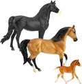 BRY 5490 Spanish Mustang Family