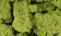 WDS 57 Foliage Cluster/Light Green (50.8 Cubic Inches)