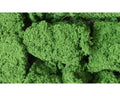 WDS 58 Foliage/Cluster Medium Green (50.8 Cubic inches)