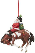 BRY 700648 Santa's Wild Ride